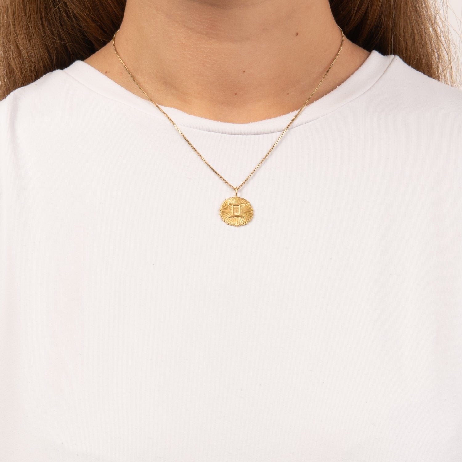 DETAIL253529