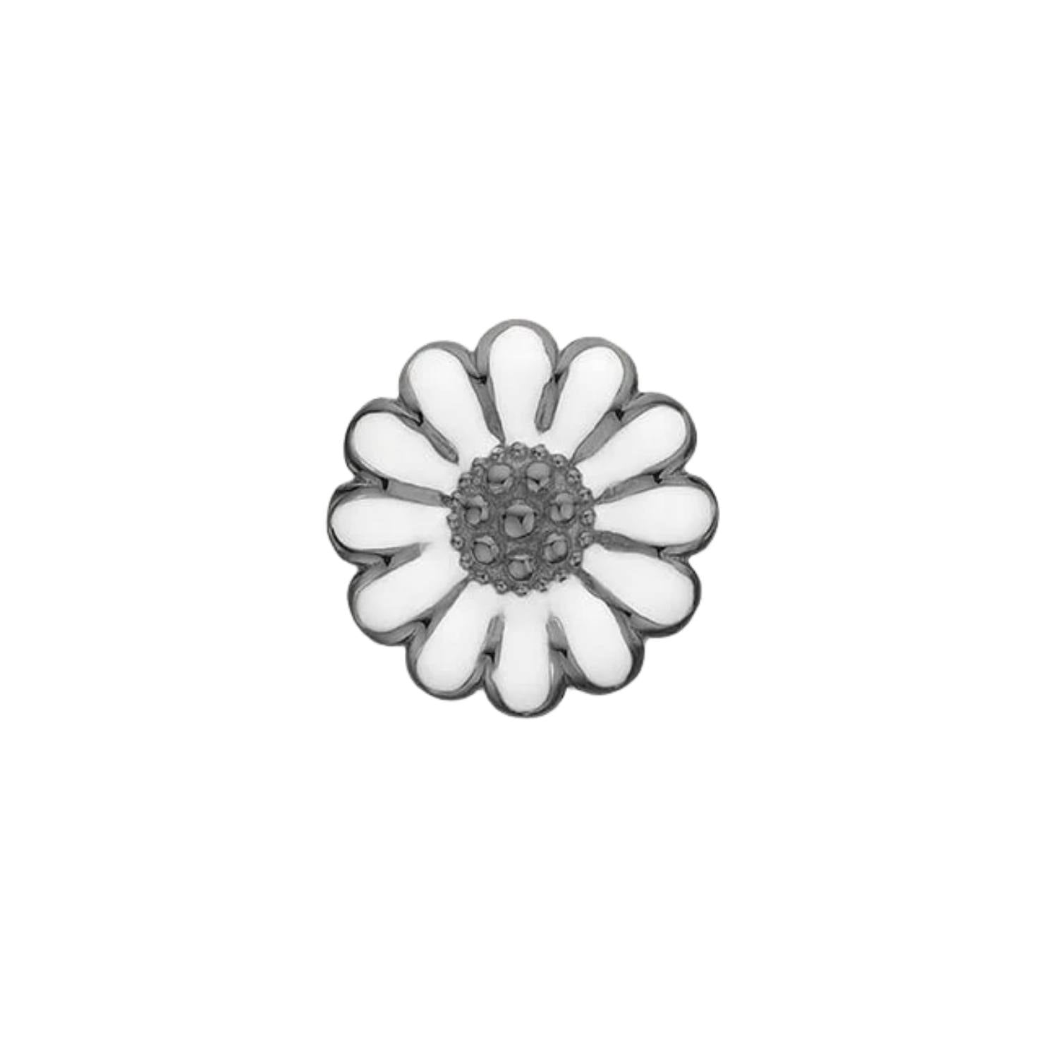 DETAIL255871