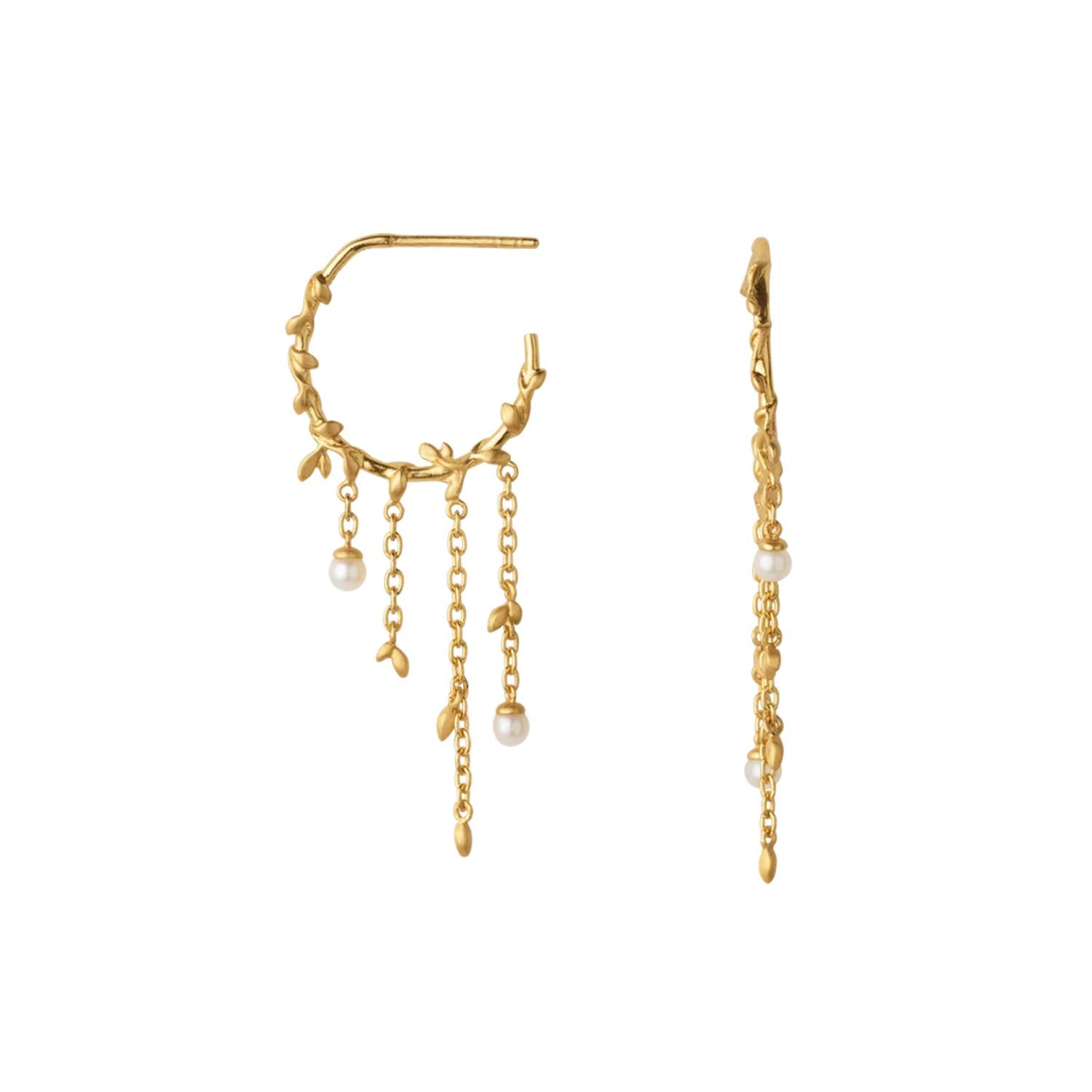 DETAIL255464