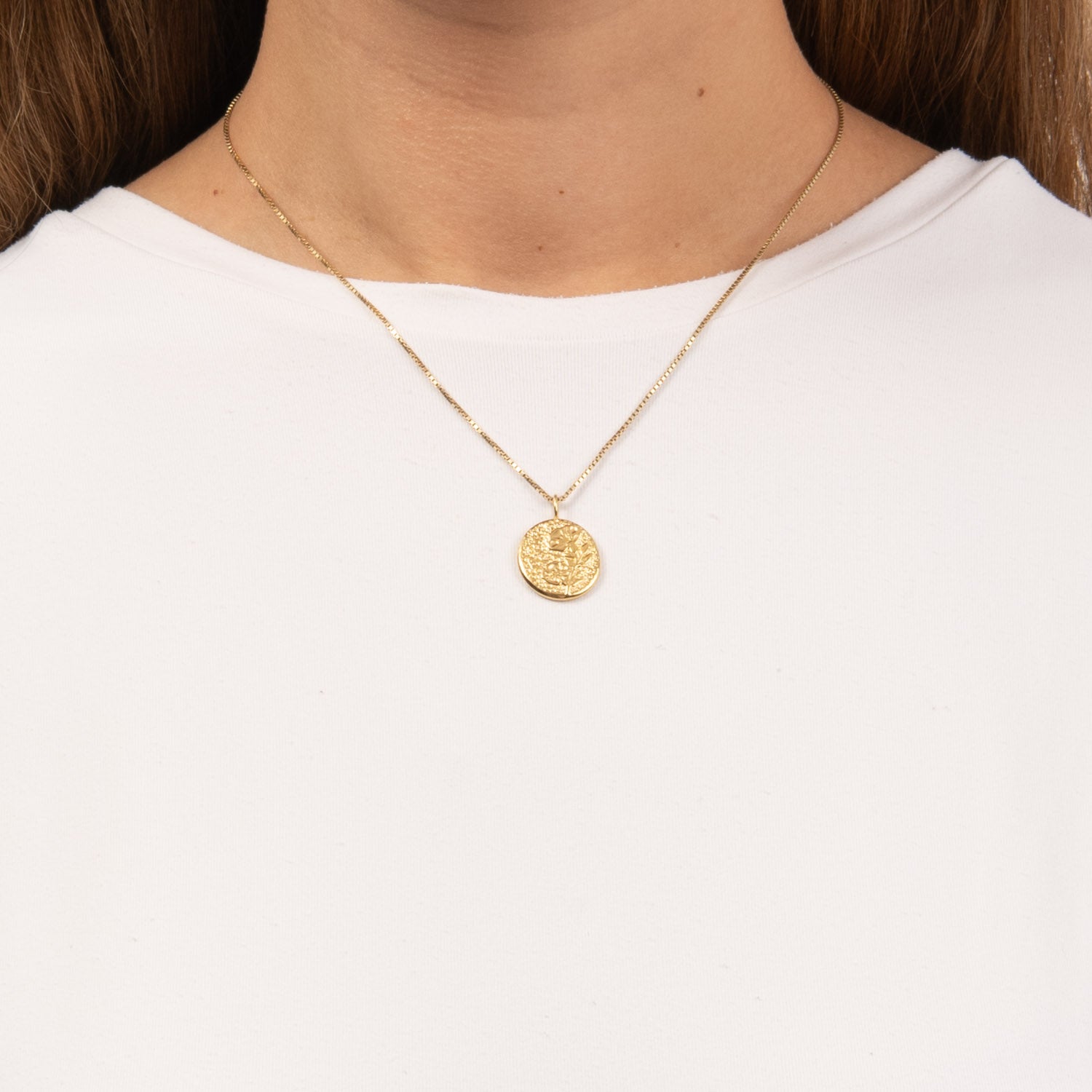 DETAIL253680