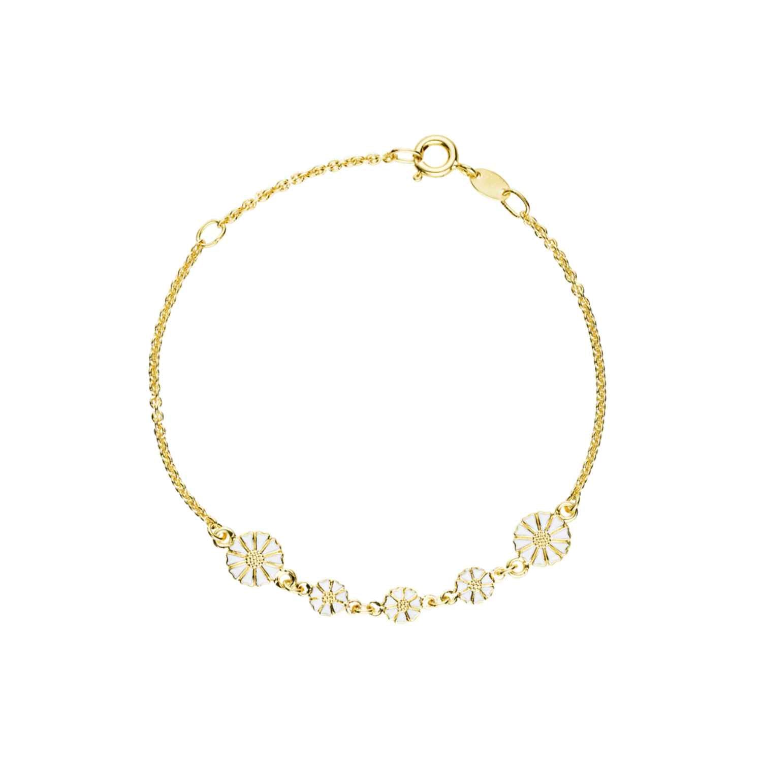 DETAIL256550