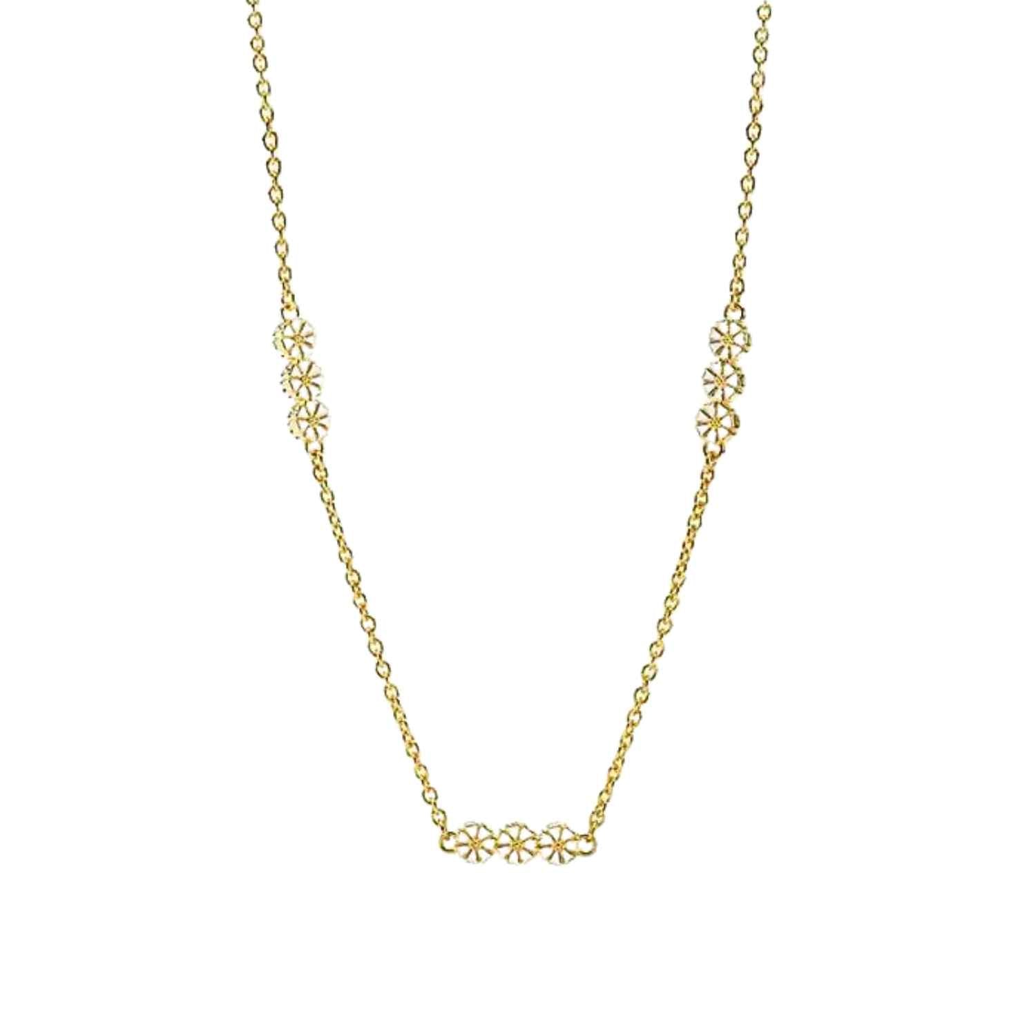 DETAIL256552