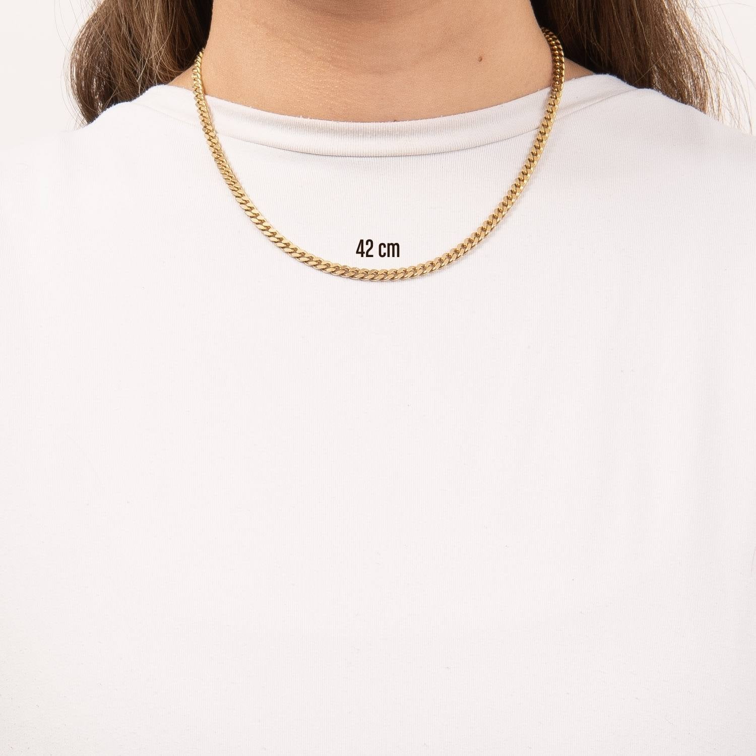 DETAIL245529