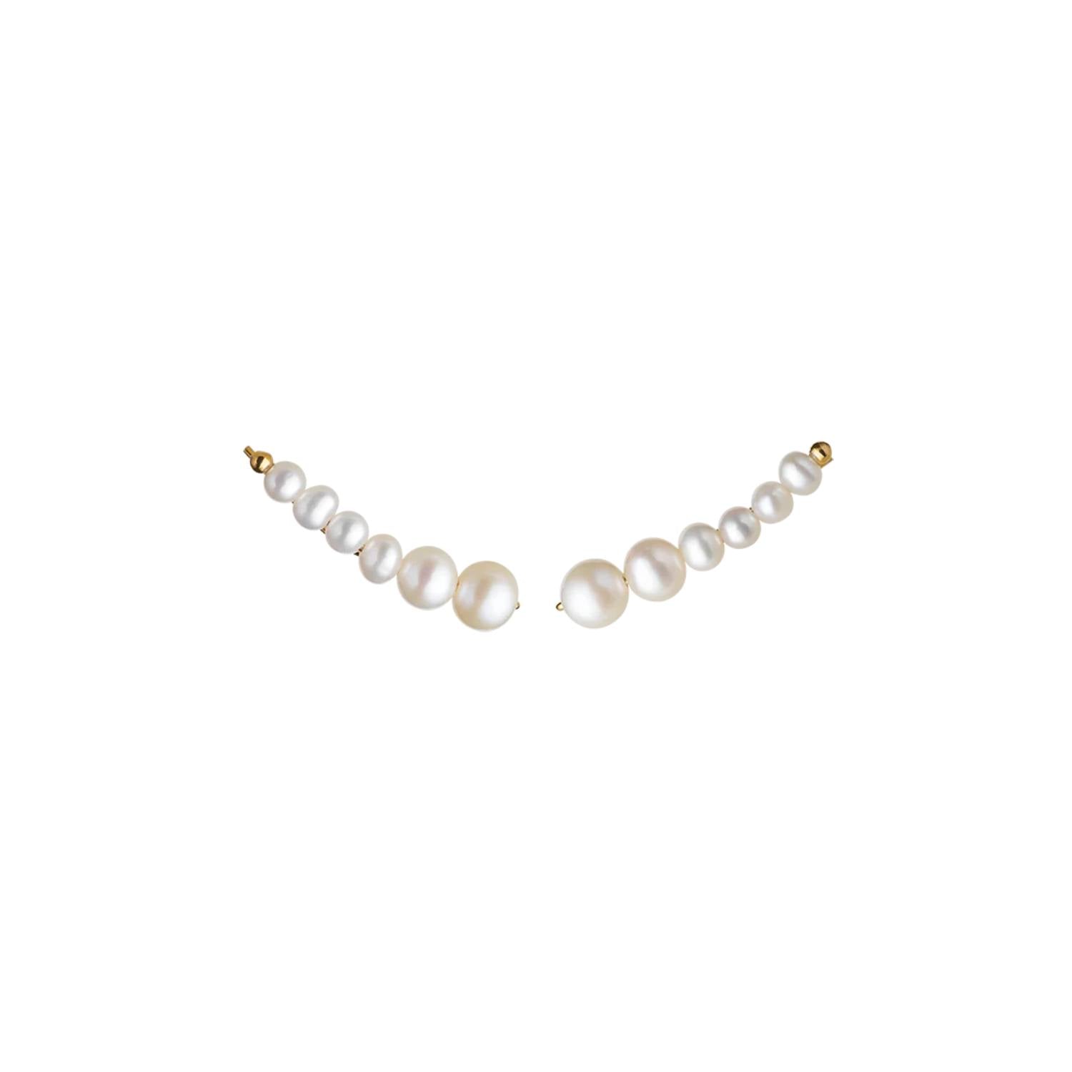 DETAIL255484