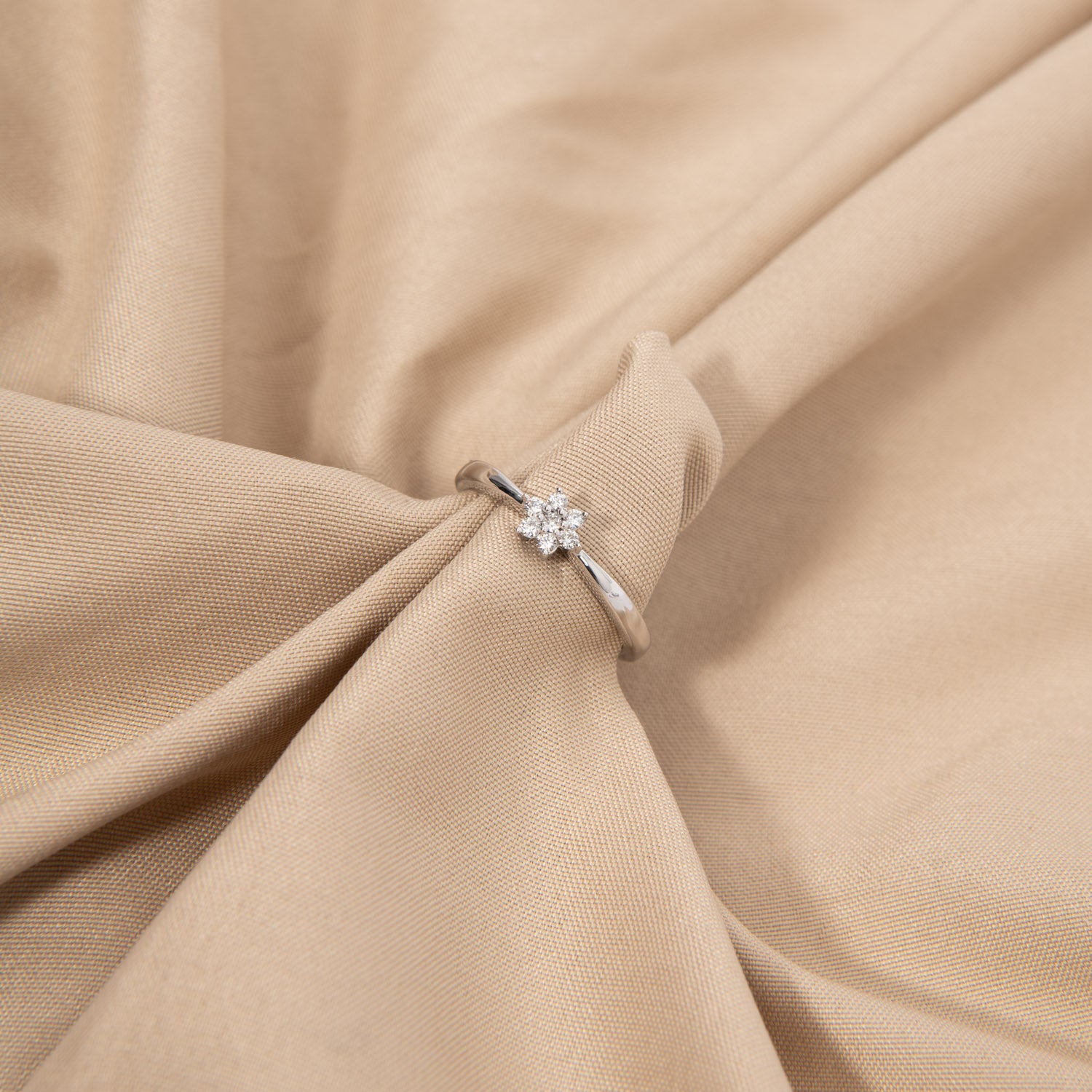 DETAIL247994