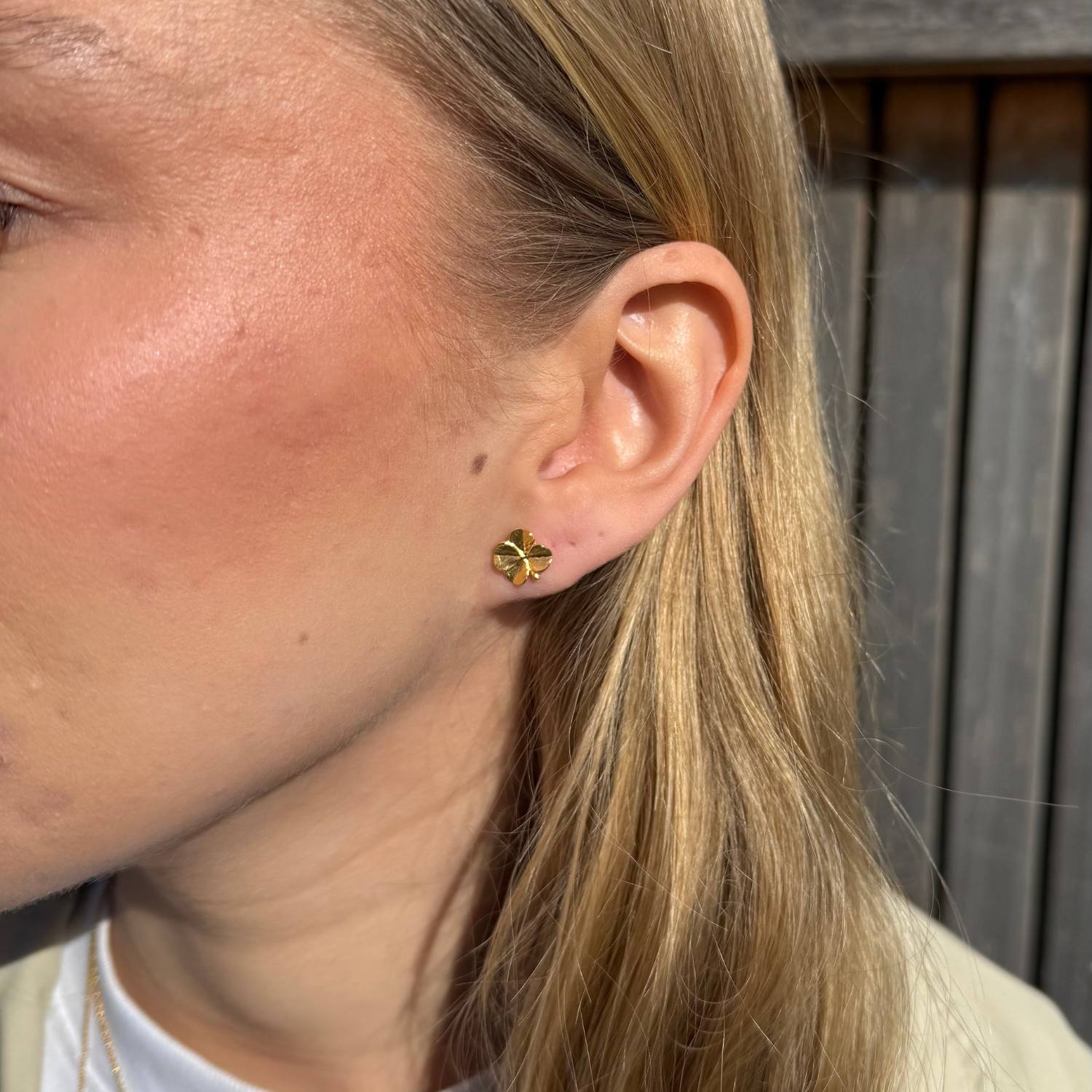 DETAIL241425