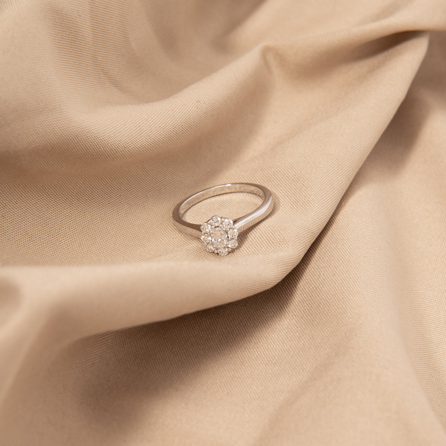 DETAIL248065
