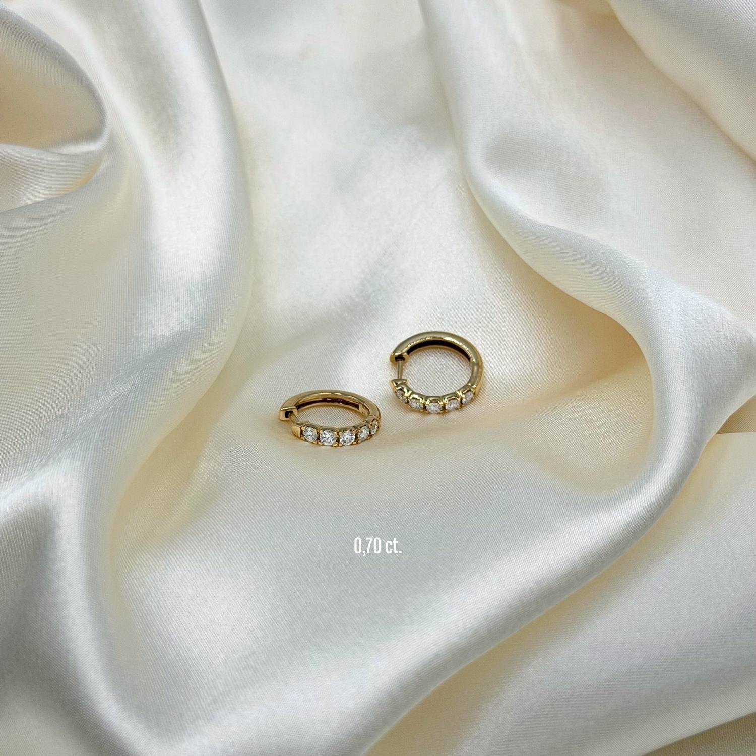 DETAIL239779