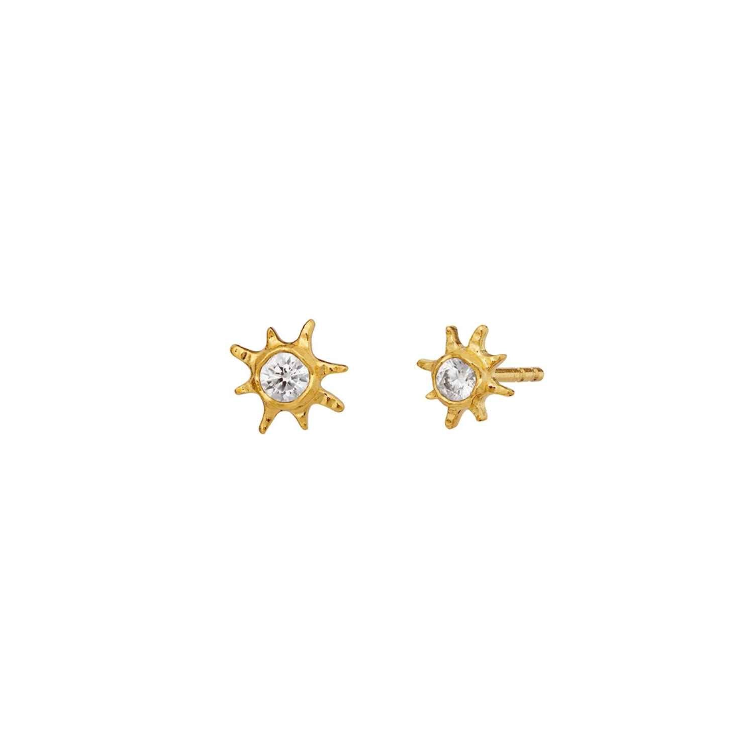 DETAIL259228