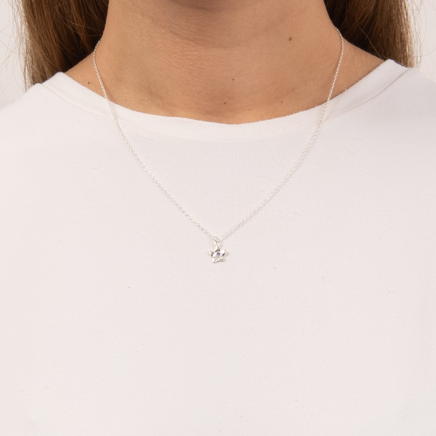 DETAIL255500