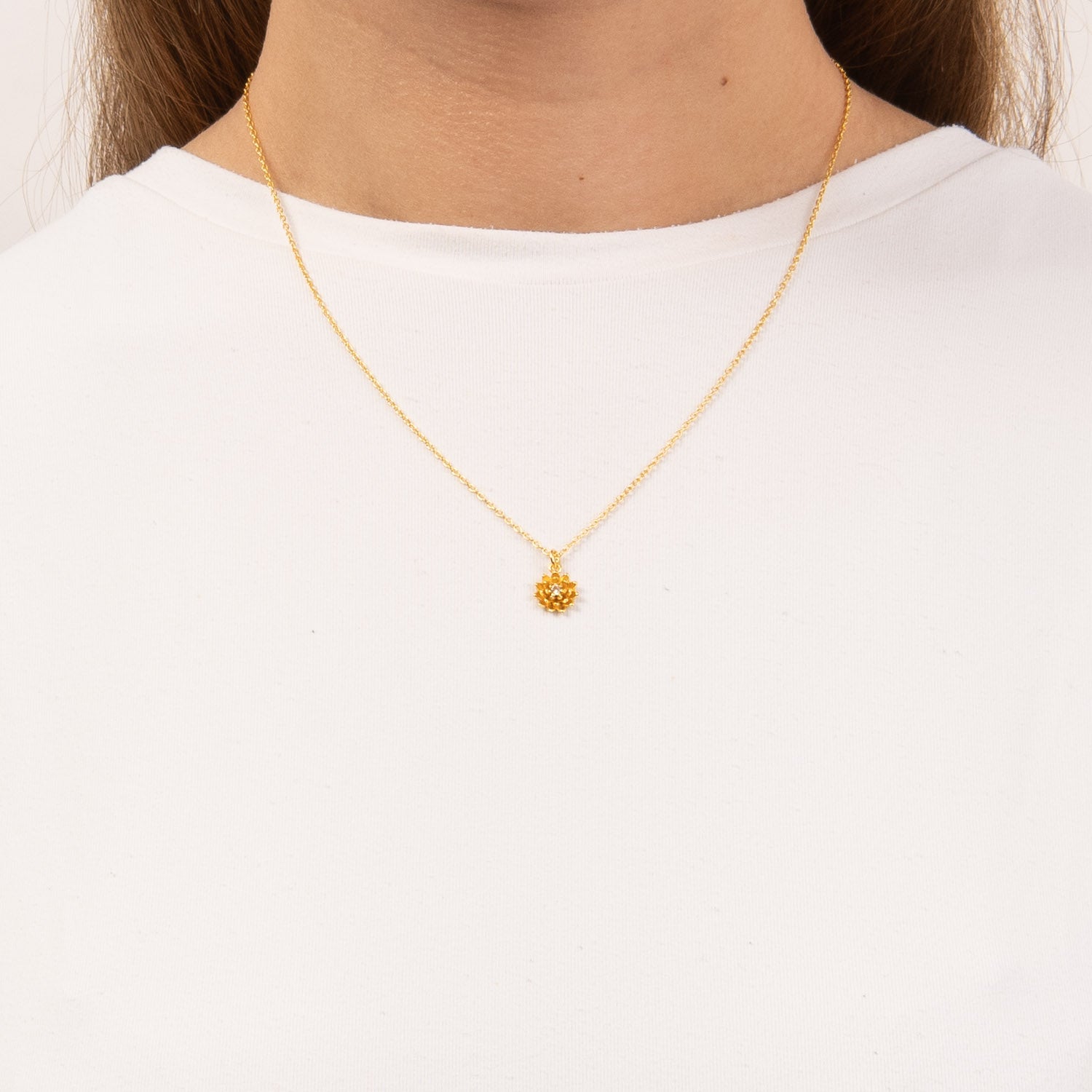 DETAIL255579