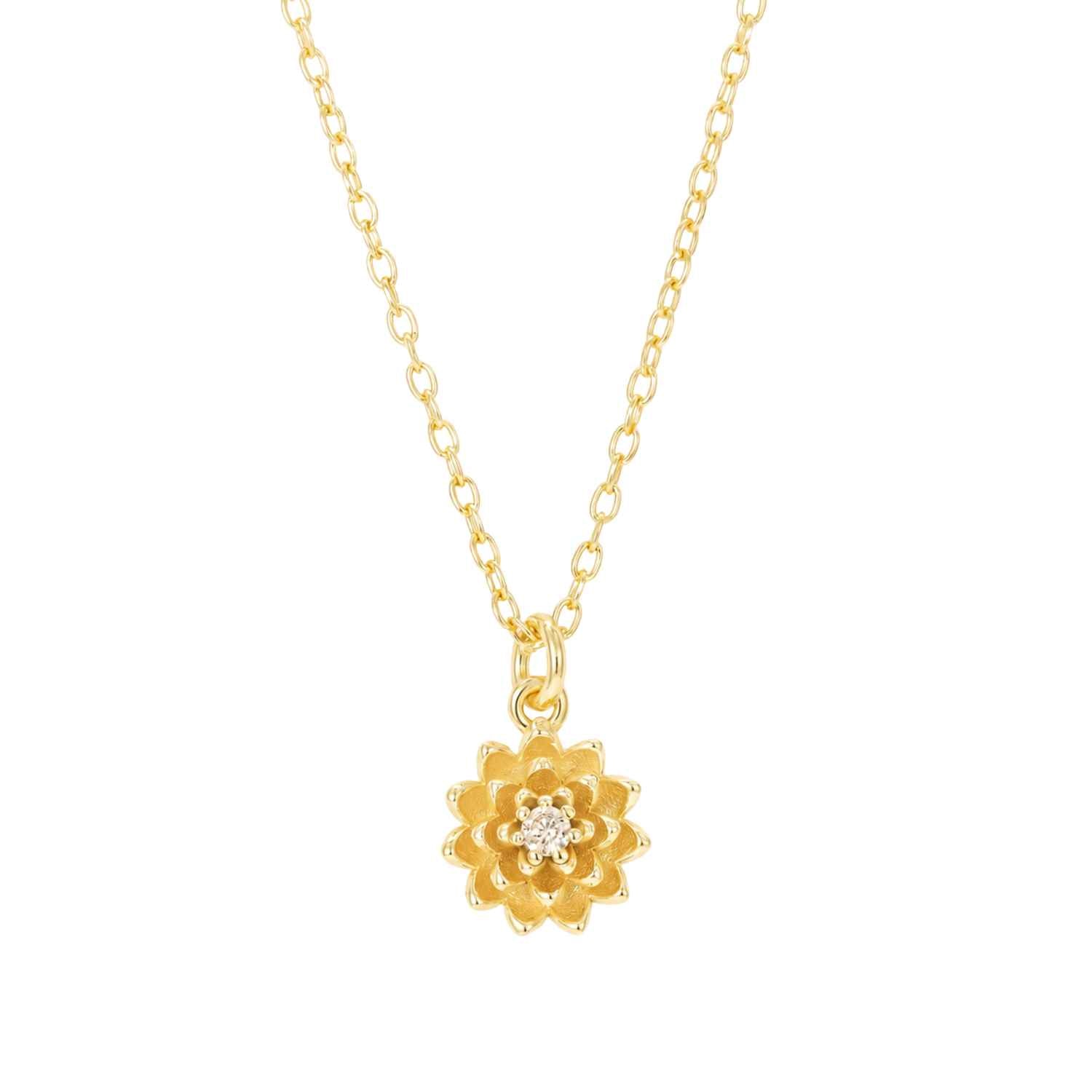 DETAIL255580